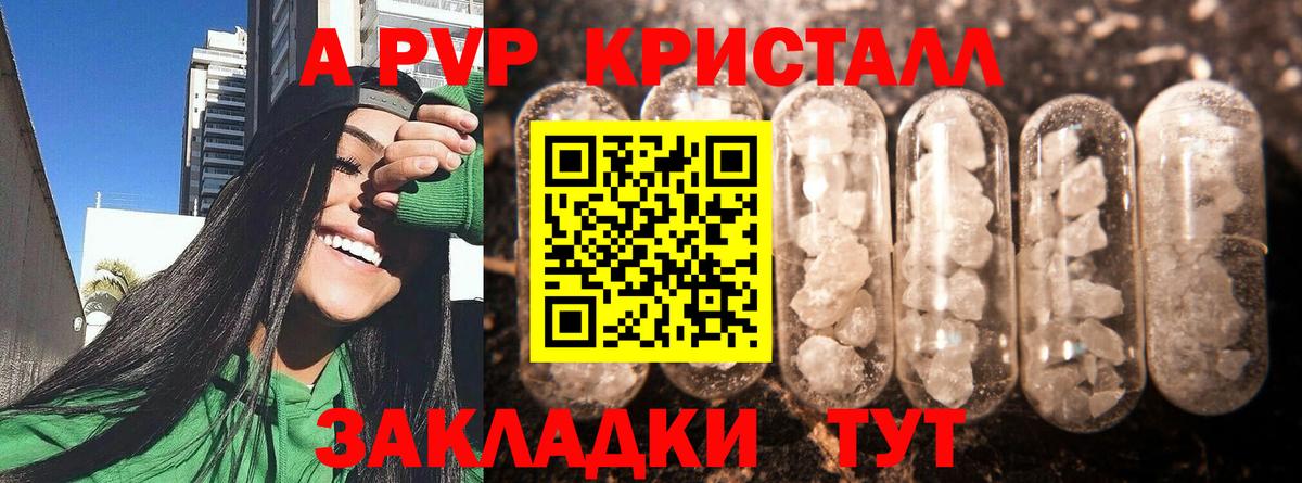 Alfa_PVP СК КРИС Урус-Мартан