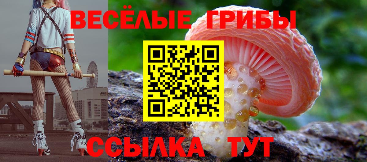 Галлюциногенные грибы Psilocybe  Вход с VPN  Урус-Мартан 