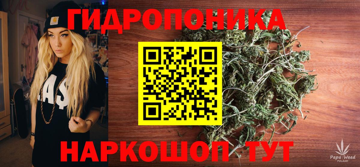 Урус-Мартан  Конопля VHQ  Канабис планчик  Шишки марихуана Amnesia  Вход с VPN  Бошки Шишки гибрид 
